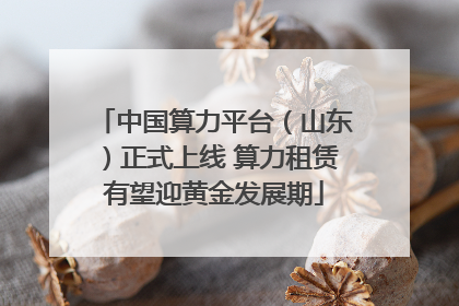 中国算力平台（山东）正式上线 算力租赁有望迎黄金发展期