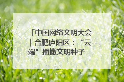 中国网络文明大会｜合肥庐阳区：“云端”播撒文明种子 共建清朗网络空间
