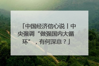 中国经济信心说丨中央强调“做强国内大循环”，有何深意？