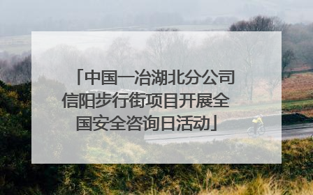 中国一冶湖北分公司信阳步行街项目开展全国安全咨询日活动