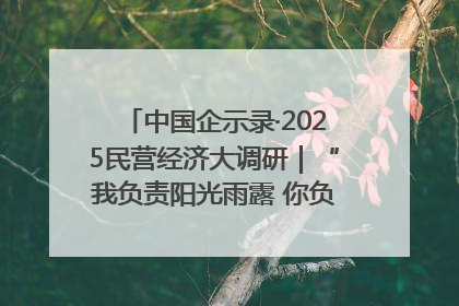 中国企示录·2025民营经济大调研｜“我负责阳光雨露 你负责茁壮成长”