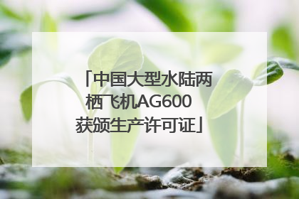 中国大型水陆两栖飞机AG600获颁生产许可证