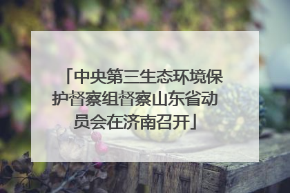 中央第三生态环境保护督察组督察山东省动员会在济南召开