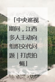 中央巡视期间，江西多人主动向组织交代问题｜打虎拍蝇