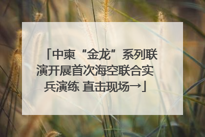 中柬“金龙”系列联演开展首次海空联合实兵演练 直击现场→