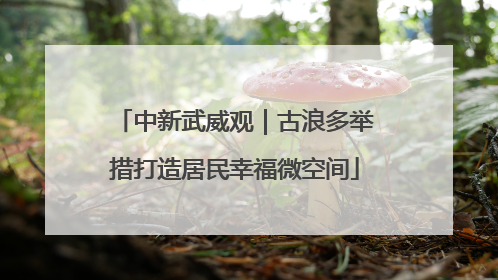 中新武威观｜古浪多举措打造居民幸福微空间