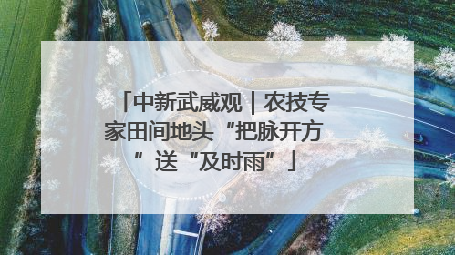 中新武威观｜农技专家田间地头“把脉开方”送“及时雨”