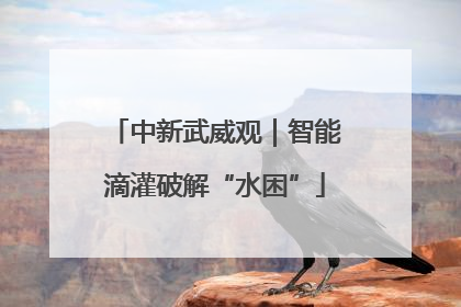 中新武威观｜智能滴灌破解“水困”
