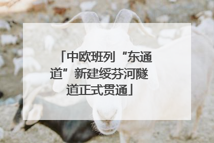 中欧班列“东通道”新建绥芬河隧道正式贯通