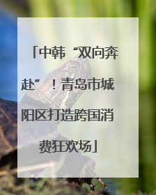 中韩“双向奔赴”！青岛市城阳区打造跨国消费狂欢场