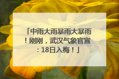 中雨大雨暴雨大暴雨！刚刚，武汉气象官宣：18日入梅！