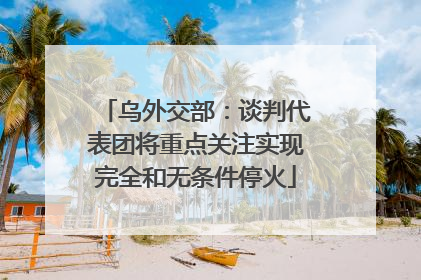 乌外交部：谈判代表团将重点关注实现完全和无条件停火
