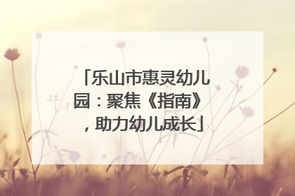 乐山市惠灵幼儿园：聚焦《指南》，助力幼儿成长