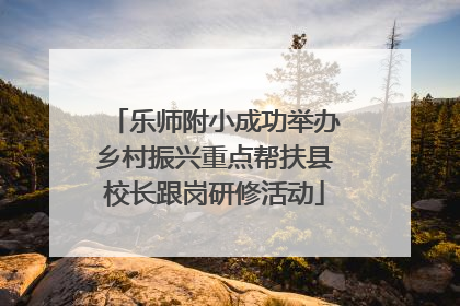 乐师附小成功举办乡村振兴重点帮扶县校长跟岗研修活动