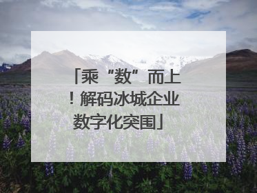 乘“数”而上！解码冰城企业数字化突围
