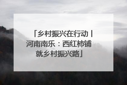 乡村振兴在行动丨河南南乐：西红柿铺就乡村振兴路