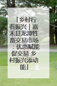 乡村行 看振兴｜嘉禾县龙潭牲畜交易市场：优惠赋能促交易 乡村振兴添动能