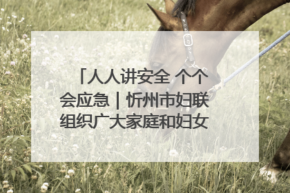 人人讲安全 个个会应急｜忻州市妇联组织广大家庭和妇女群众走进忻州市消防救援支队参观啦！