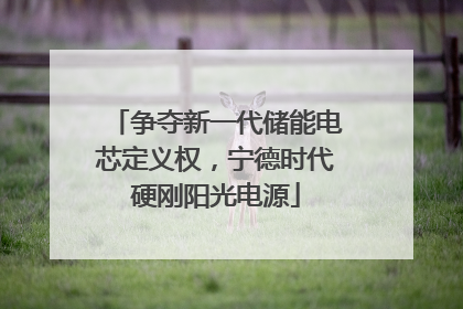 争夺新一代储能电芯定义权，宁德时代硬刚阳光电源