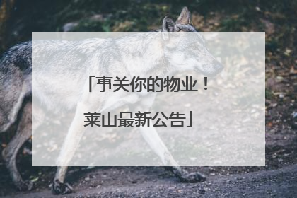 事关你的物业！莱山最新公告