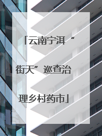 云南宁洱“街天”巡查治理乡村药市