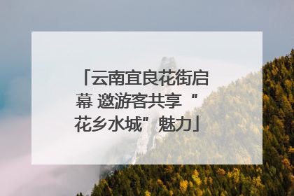 云南宜良花街启幕 邀游客共享“花乡水城”魅力