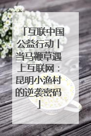 互联中国公益行动丨当马鞭草遇上互联网：昆明小渔村的逆袭密码
