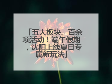 五大板块、百余项活动！端午假期，沈阳上线夏日专属新玩法