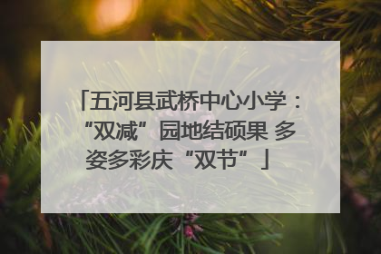 五河县武桥中心小学：“双减”园地结硕果 多姿多彩庆“双节”