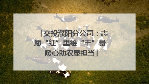 交投濮阳分公司：志愿“红”里绘“丰”景 暖心助农显担当