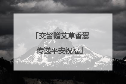 交警赠艾草香囊 传递平安祝福