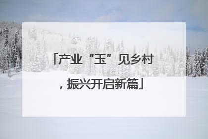 产业“玉”见乡村，振兴开启新篇