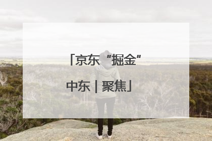 京东“掘金”中东｜聚焦
