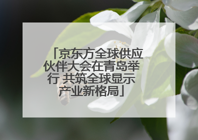 京东方全球供应伙伴大会在青岛举行 共筑全球显示产业新格局