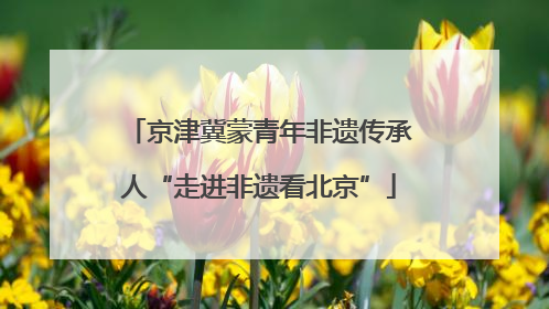 京津冀蒙青年非遗传承人“走进非遗看北京”