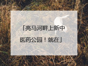 亮马河畔上新中医药公园！就在