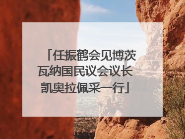 任振鹤会见博茨瓦纳国民议会议长凯奥拉佩采一行