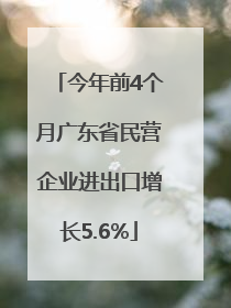 今年前4个月广东省民营企业进出口增长5.6%
