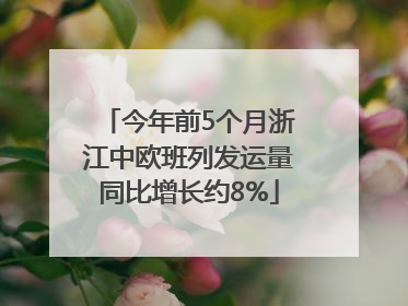 今年前5个月浙江中欧班列发运量同比增长约8%