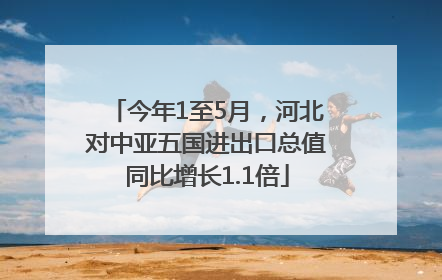 今年1至5月，河北对中亚五国进出口总值同比增长1.1倍