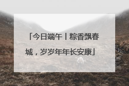 今日端午丨粽香飘春城，岁岁年年长安康