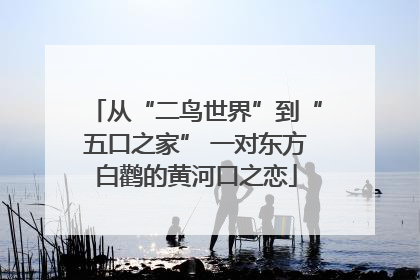 从“二鸟世界”到“五口之家” 一对东方白鹳的黄河口之恋