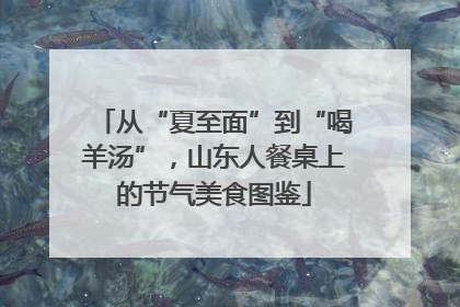 从“夏至面”到“喝羊汤”，山东人餐桌上的节气美食图鉴