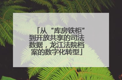 从“库房铁柜”到开放共享的司法数据，龙江法院档案的数字化转型