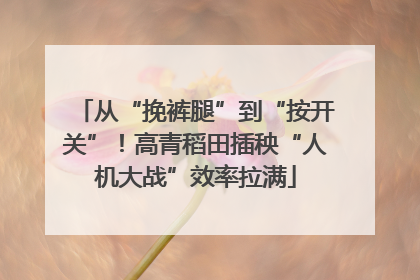 从“挽裤腿”到“按开关”！高青稻田插秧“人机大战”效率拉满