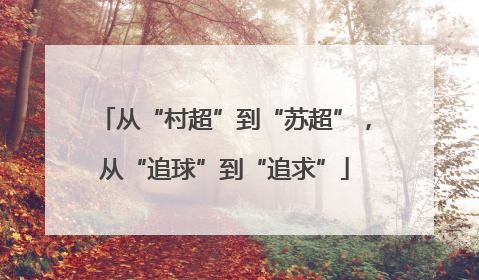 从“村超”到“苏超”，从“追球”到“追求”