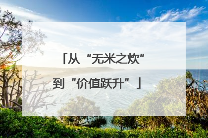 从“无米之炊”到“价值跃升”