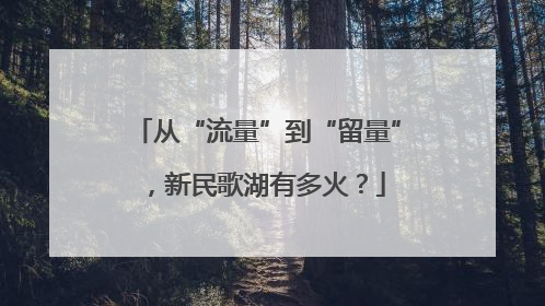 从“流量”到“留量”，新民歌湖有多火？