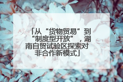 从“货物贸易”到“制度型开放”，湖南自贸试验区探索对非合作新模式