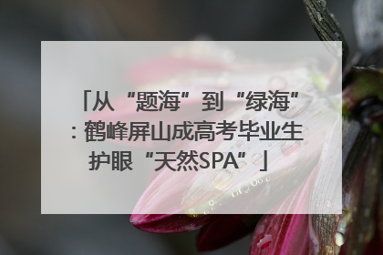 从“题海”到“绿海”：鹤峰屏山成高考毕业生护眼“天然SPA”